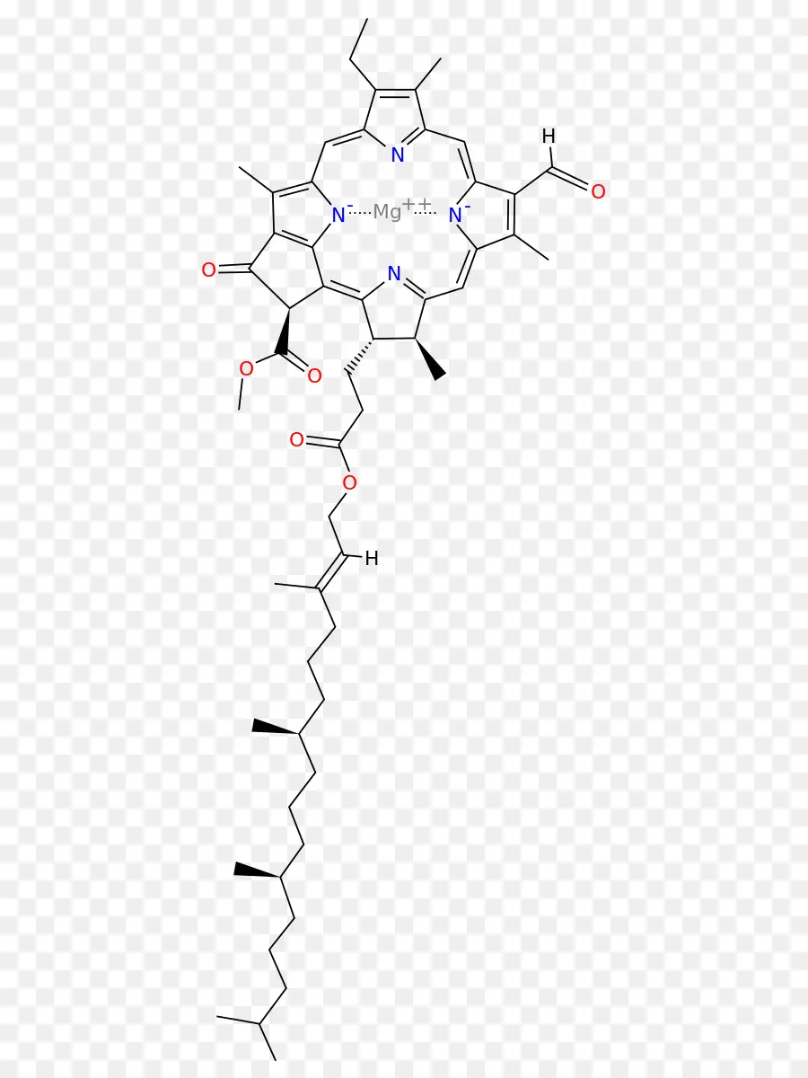 Structure Chimique，Molécule PNG