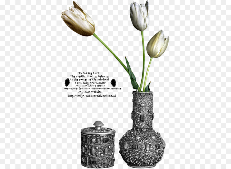 Vase，Formats De Fichier D Image PNG