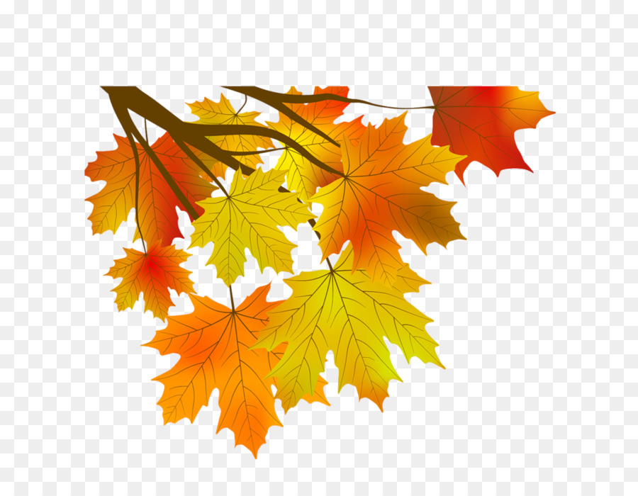 Feuilles D'automne，Automne PNG