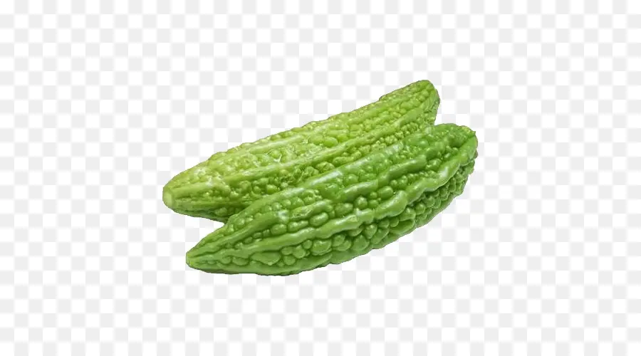 Le Melon Amer，Calebasse PNG