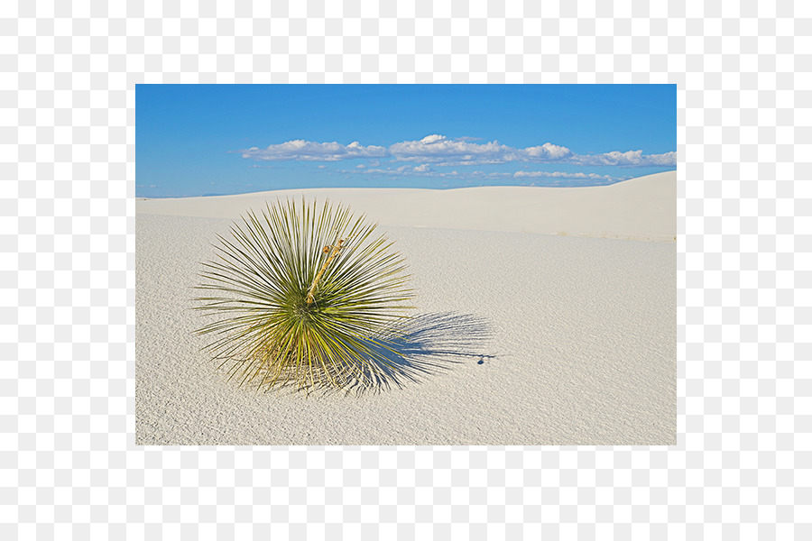 L écorégion，La Photographie De Stock PNG