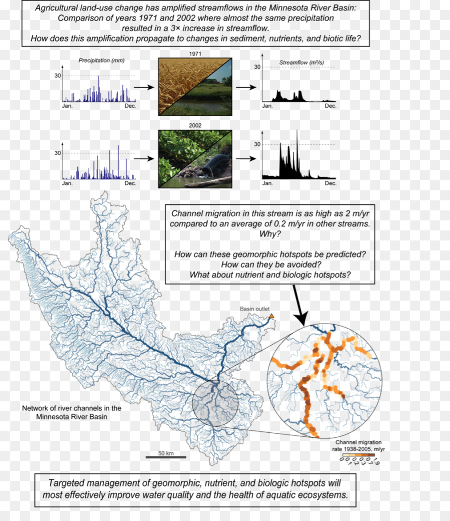 Arbre，Ressources En Eau PNG