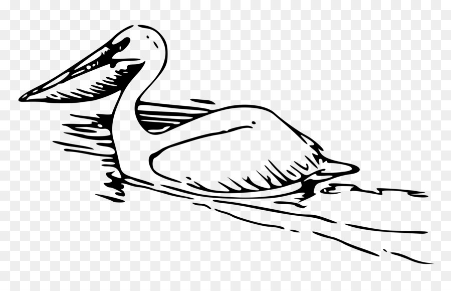 Pelican，Noir Et Blanc PNG