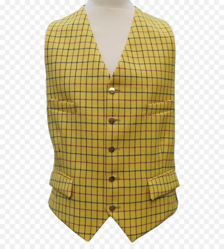 Gilet Jaune，À Carreaux PNG