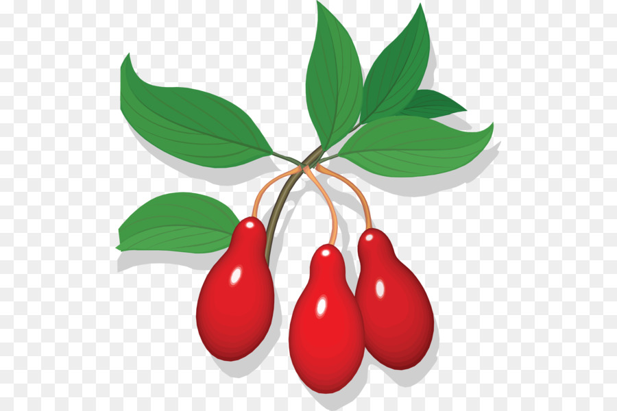 Cerise，Fruit PNG