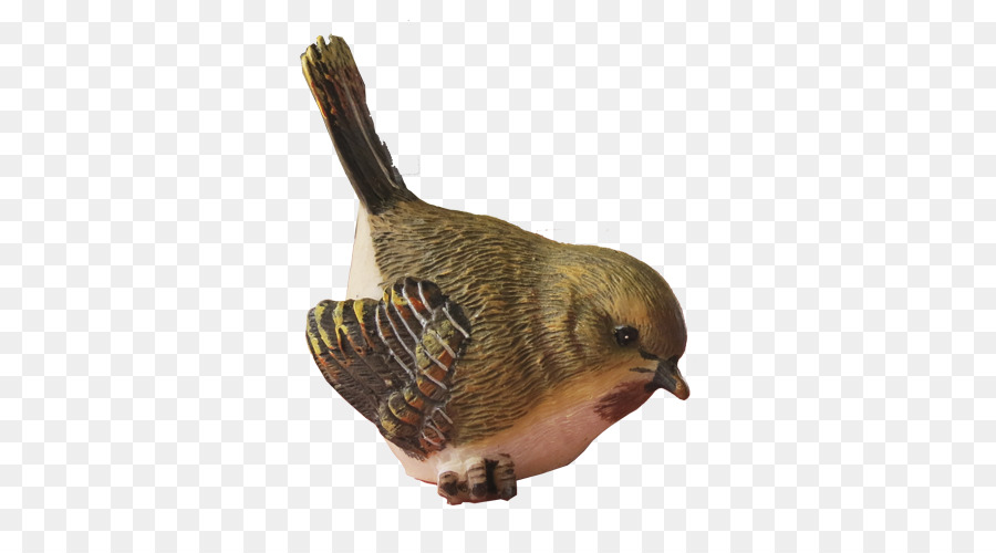 Oiseau Coloré，Plumes PNG