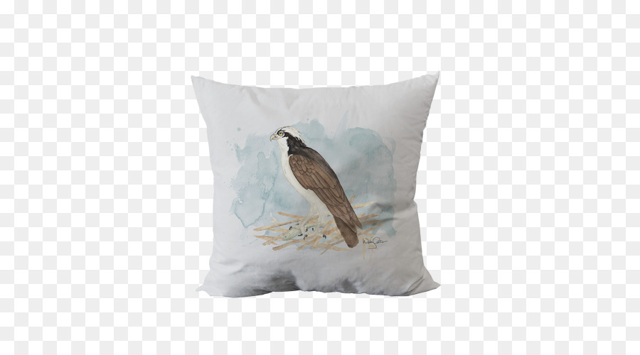 Les Coussins，Coussin PNG