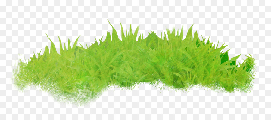 Herbe，Vert PNG