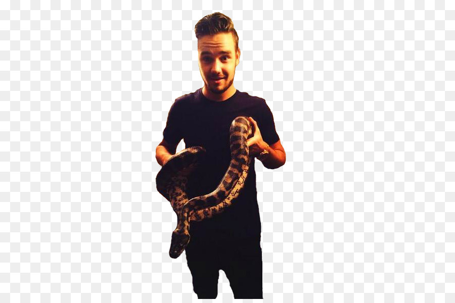 Liam Payne，Une Direction PNG