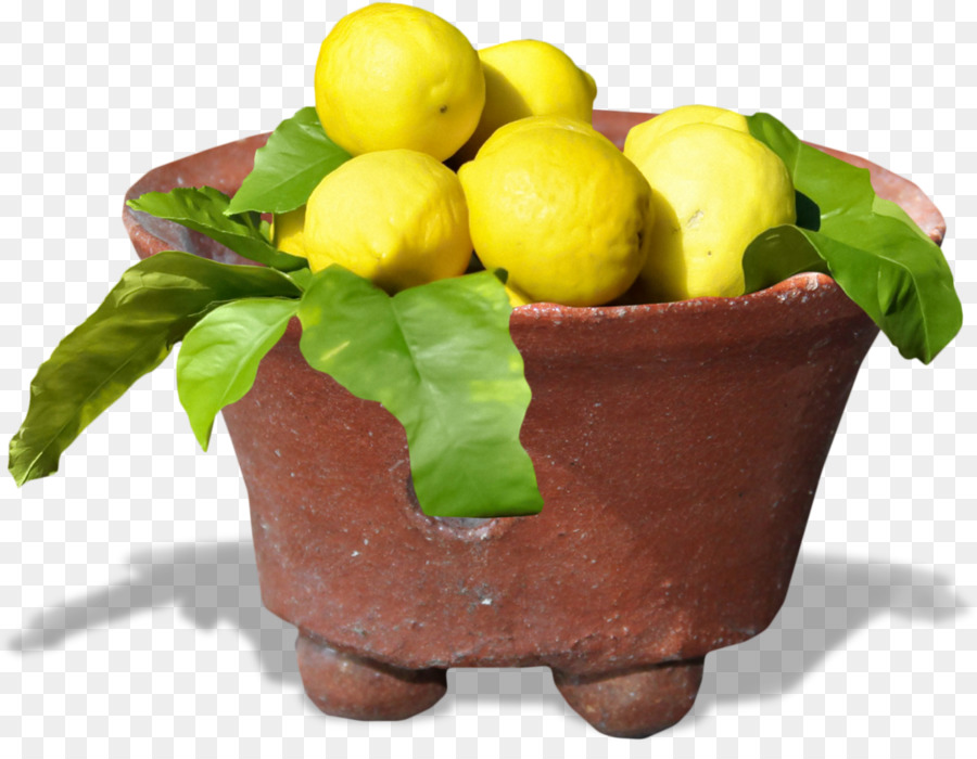 Citron，Les Aliments Naturels PNG
