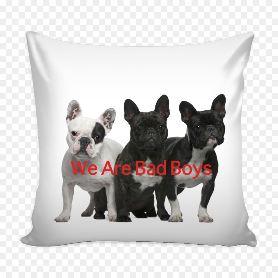 Bouledogue Français，Bouledogue PNG