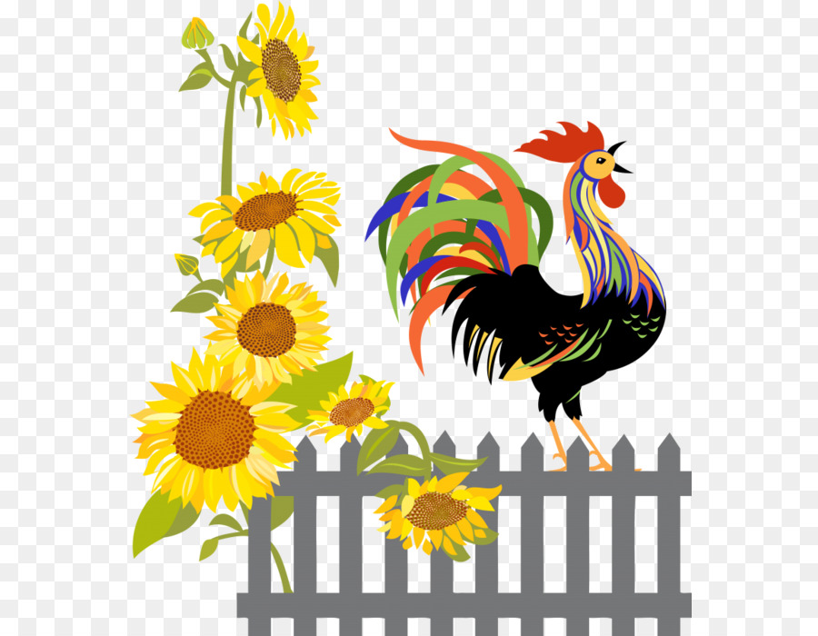 Coq，Tournesols PNG