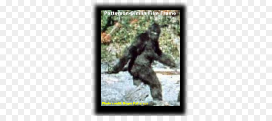 Bigfoot，États Unis PNG