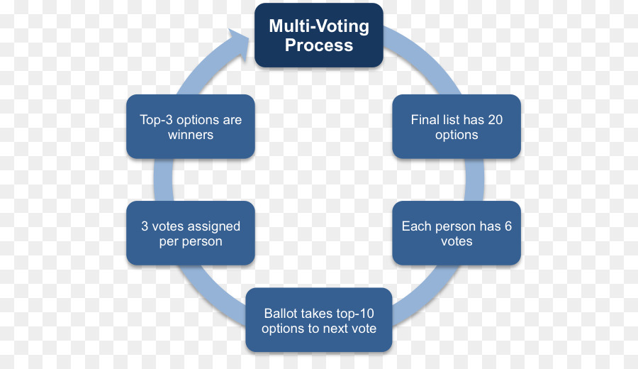 Vote，Système électoral PNG