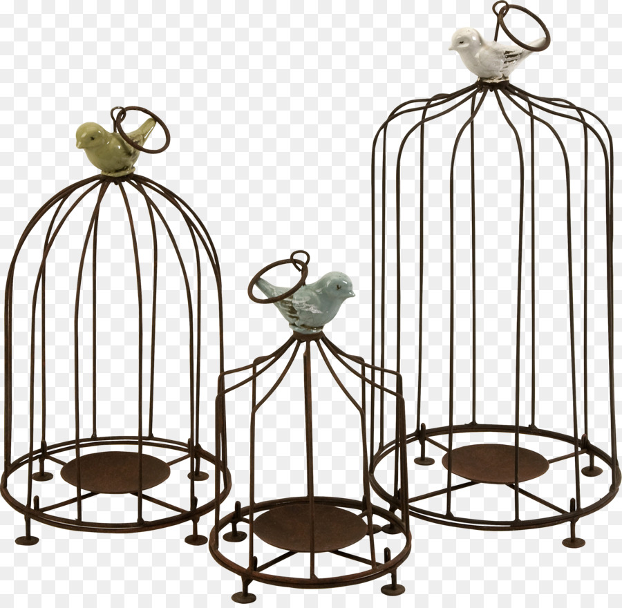 Cages à Oiseaux，Oiseaux PNG