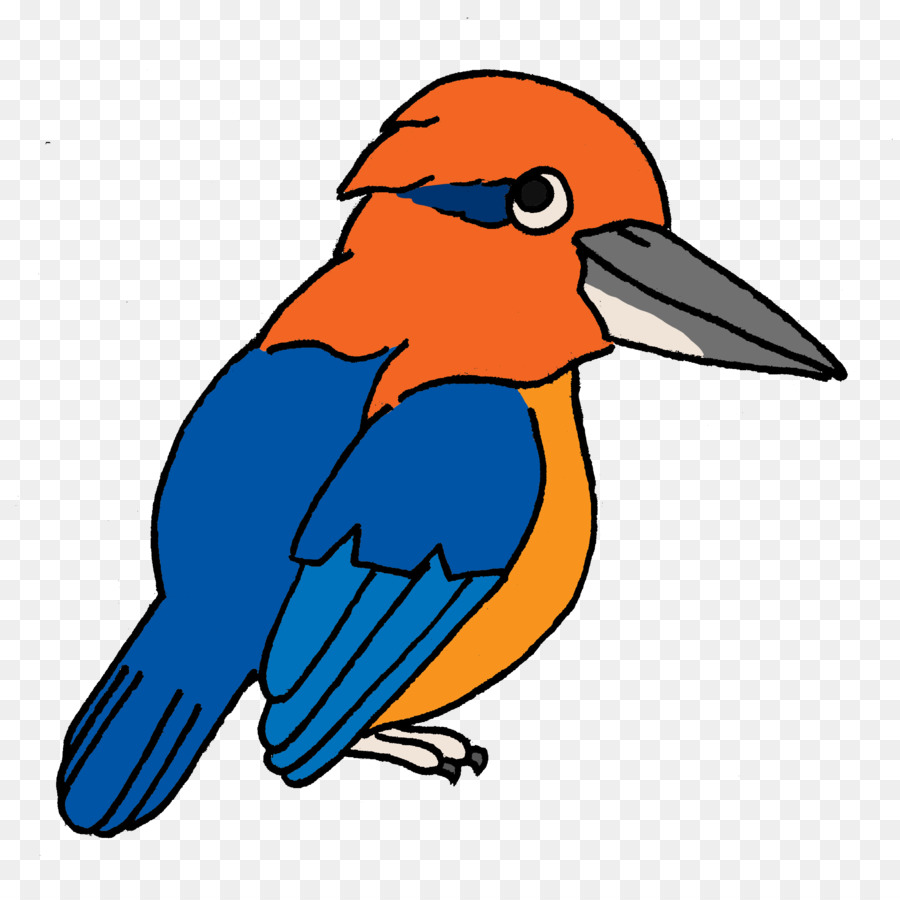 Oiseau De Dessin Animé，Animal PNG