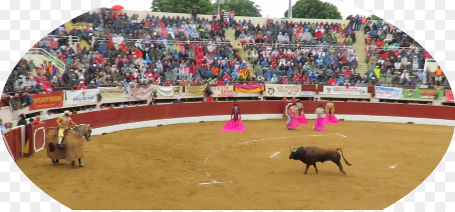 La Corrida，Arènes PNG