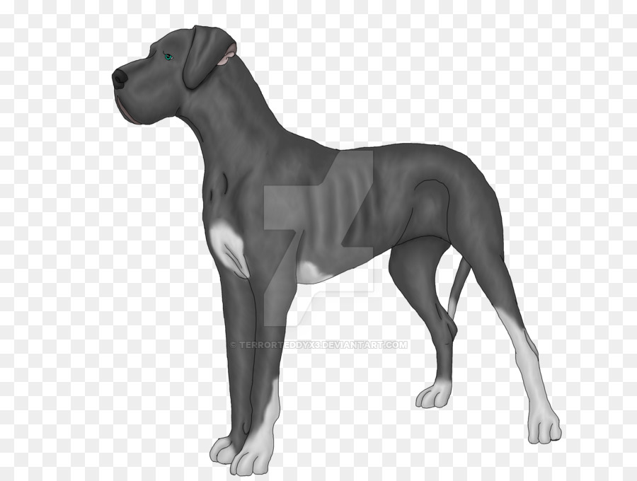 Great Dane，Race De Chien PNG