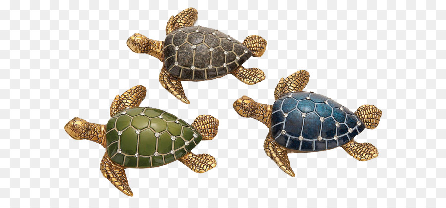 Tortues，Mer PNG