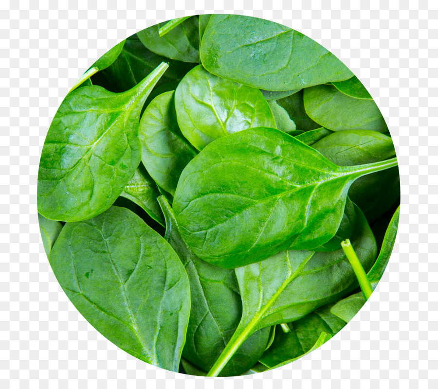 Épinard，Légumes Verts PNG