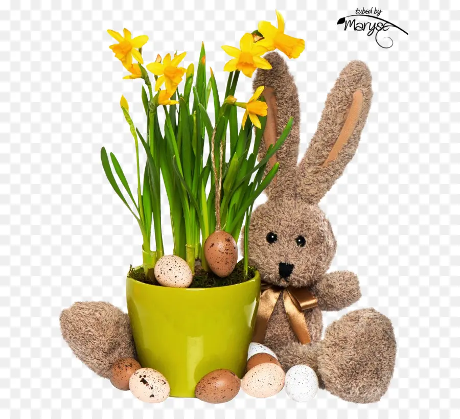 Lapin De Pâques，Fleurs PNG