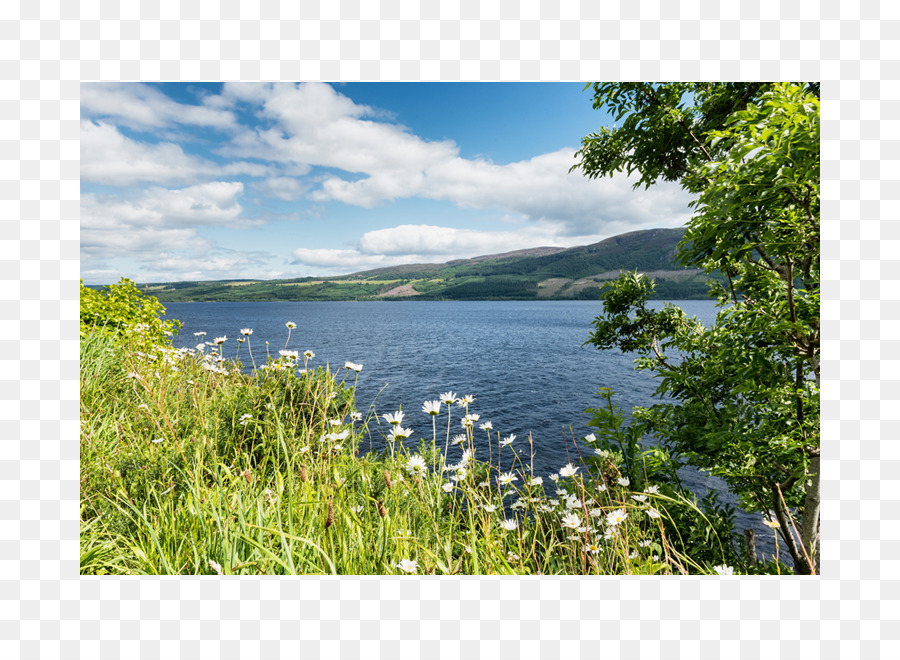 Fjord，Loch PNG