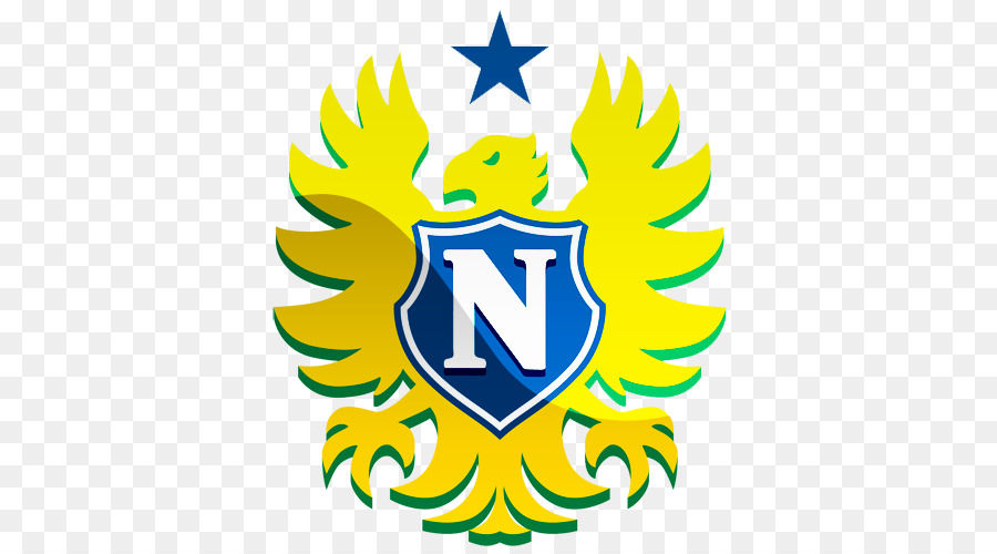 National Football Club，Coupe Du Brésil PNG