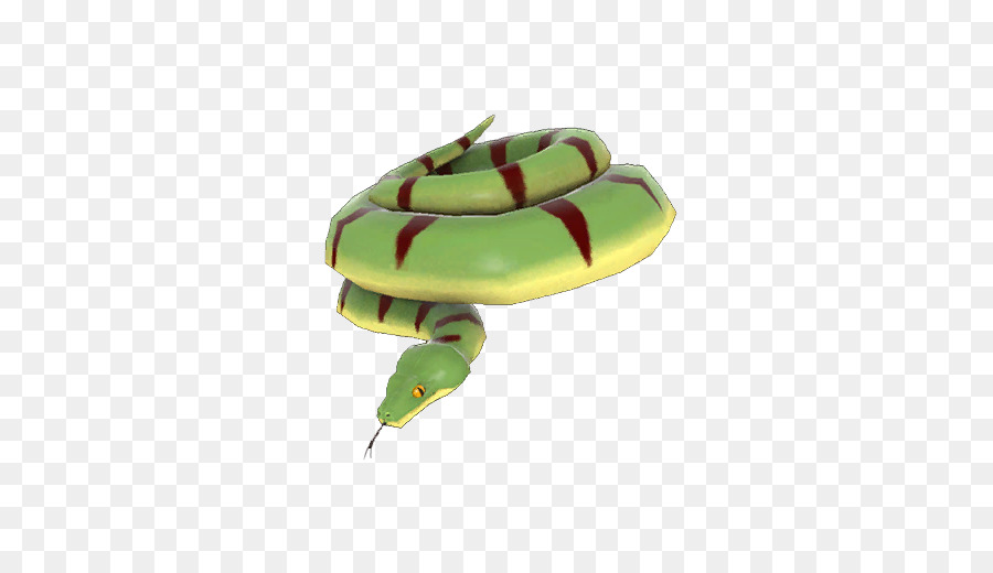 Serpent Vert，Dessin Animé PNG