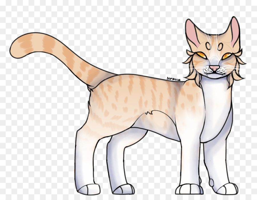 Chat，Animal De Compagnie PNG