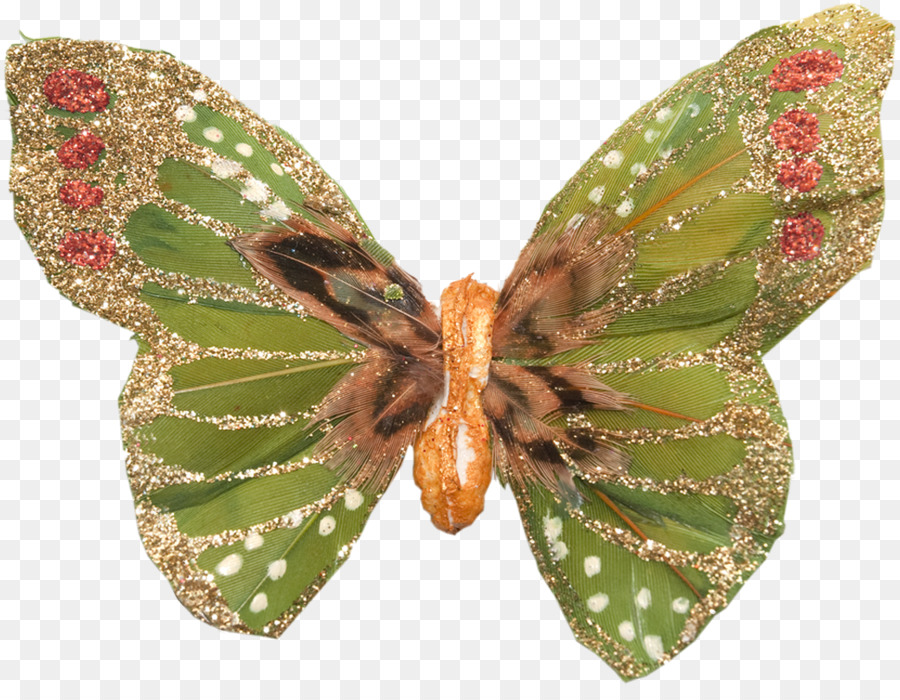 Papillon，Peinture PNG