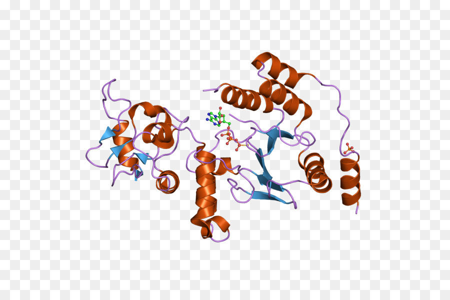 Structure Des Protéines，Molécule PNG