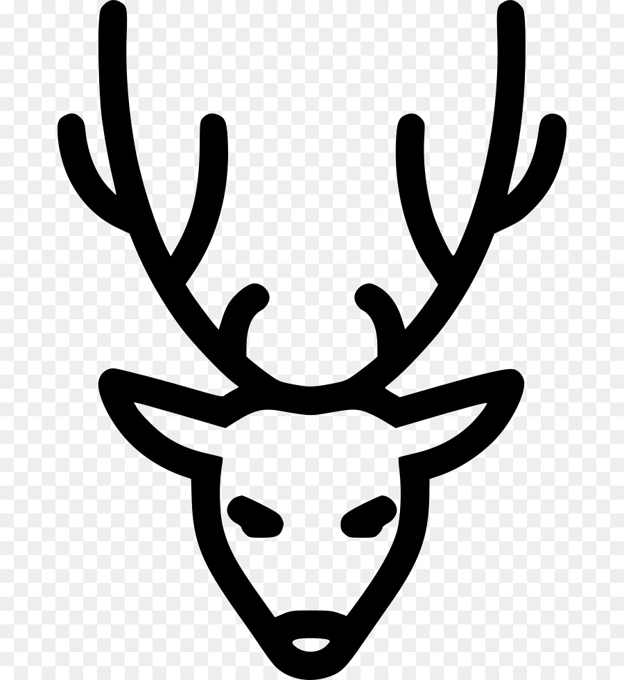 Tête De Cerf，Bois PNG