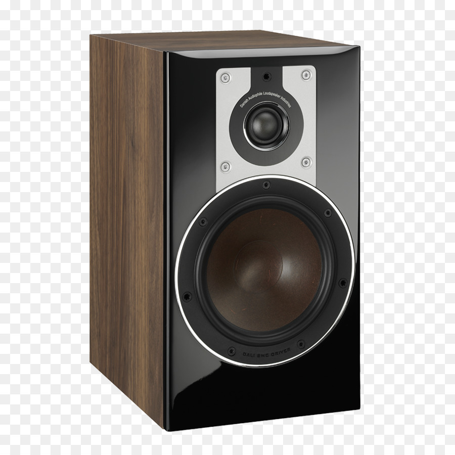 Conférencier，Audio PNG