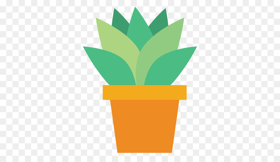 Plante Succulente，Cactus PNG