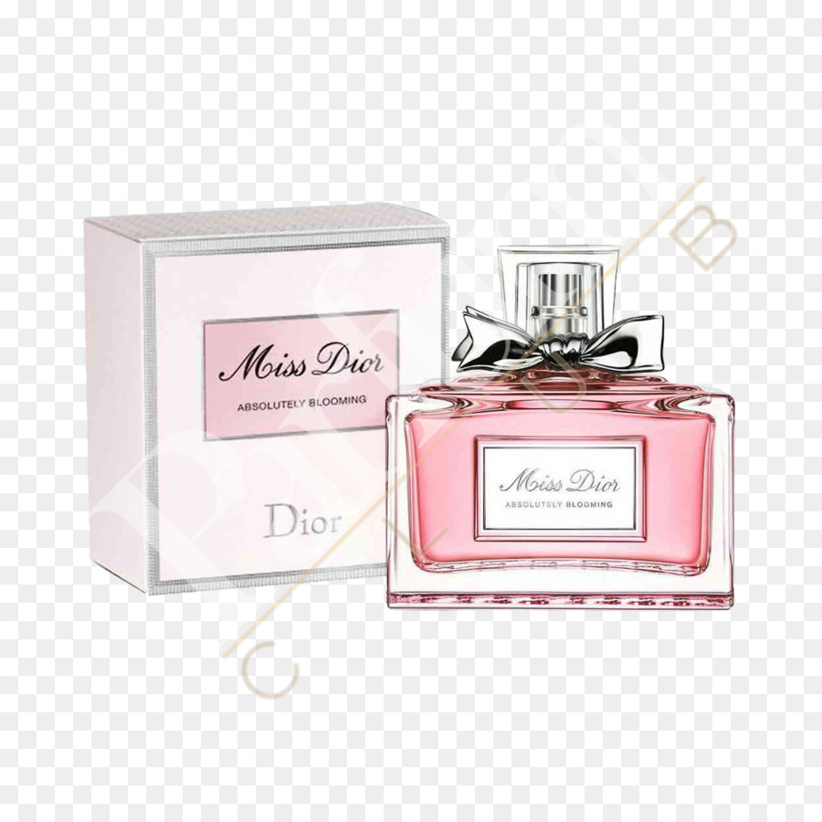 Miss Dior，Christian Dior Se PNG