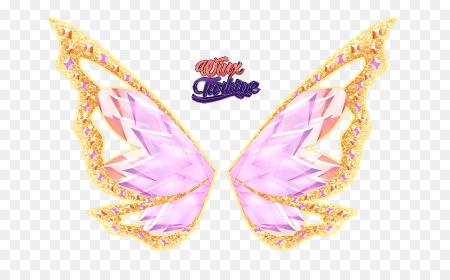 Ailes De Papillon，Insecte PNG