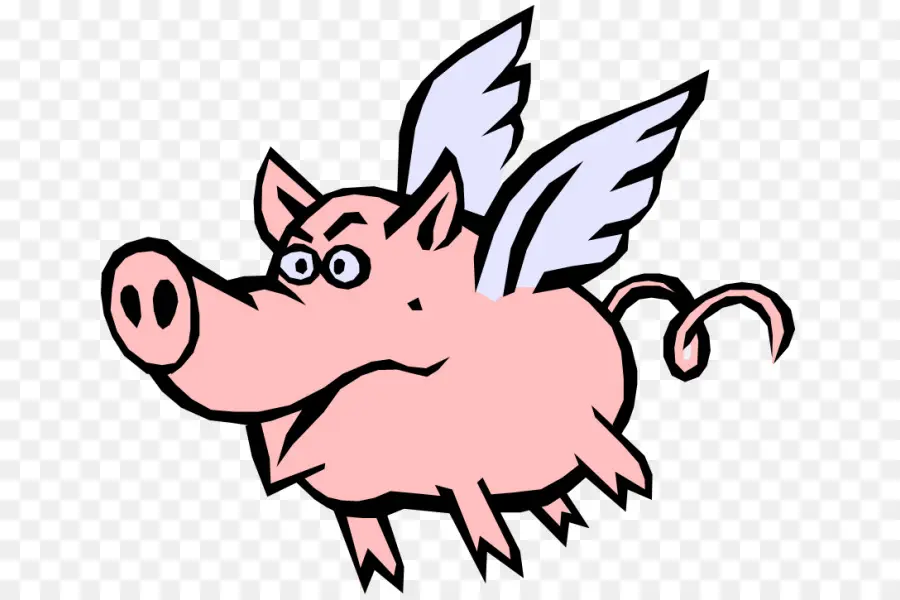 Cochon Volant，Animal PNG