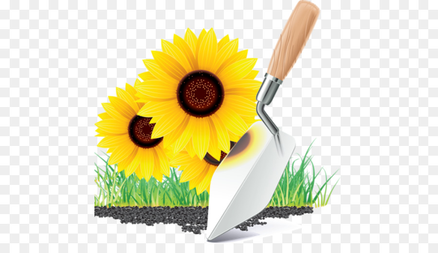 Tournesols，Truelle PNG