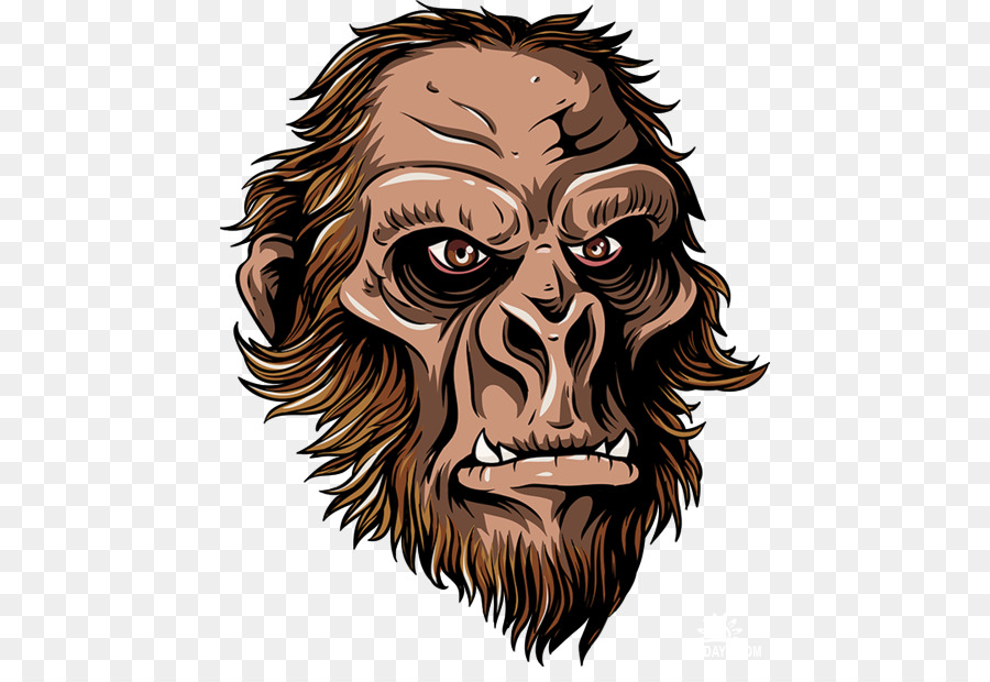 Illustration De Singe，Dessin PNG