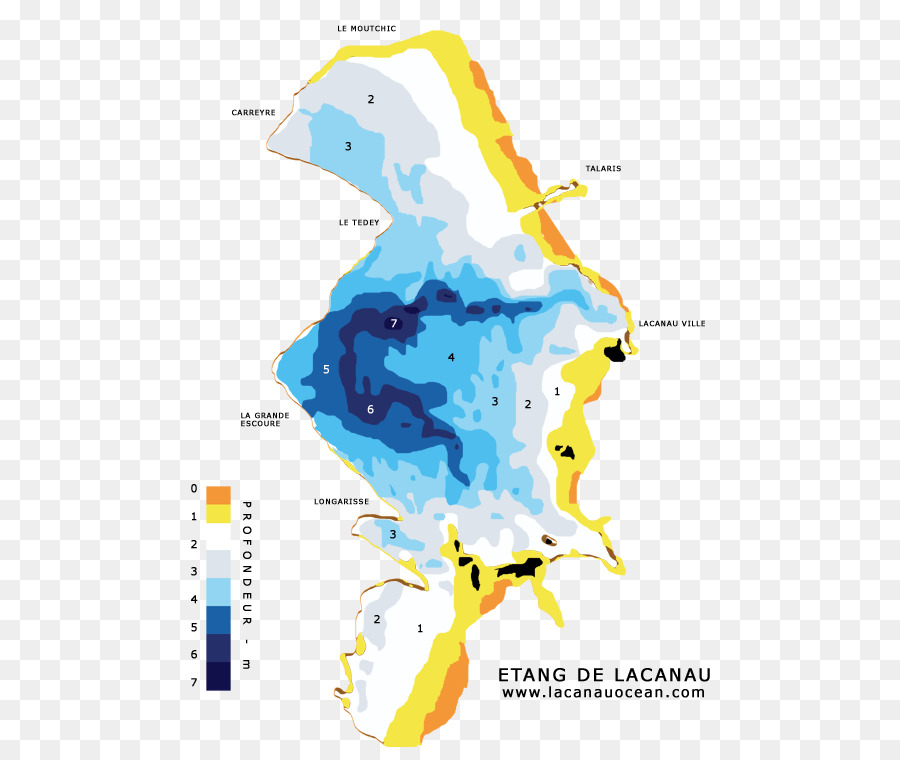 Étang De Lacanau，Les Poissons PNG