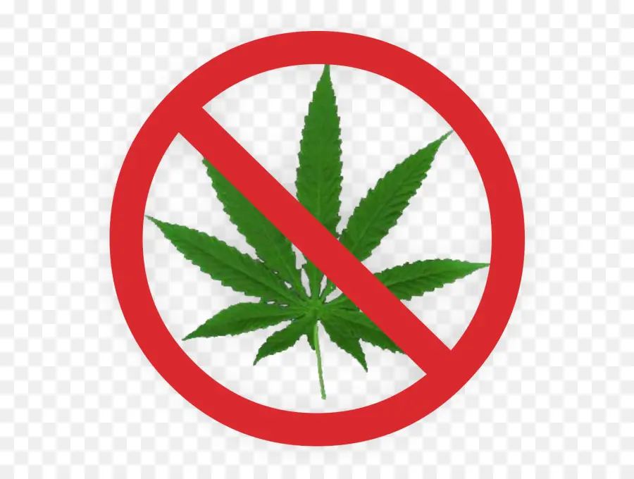 Le Cannabis，Cannabis Sativa PNG