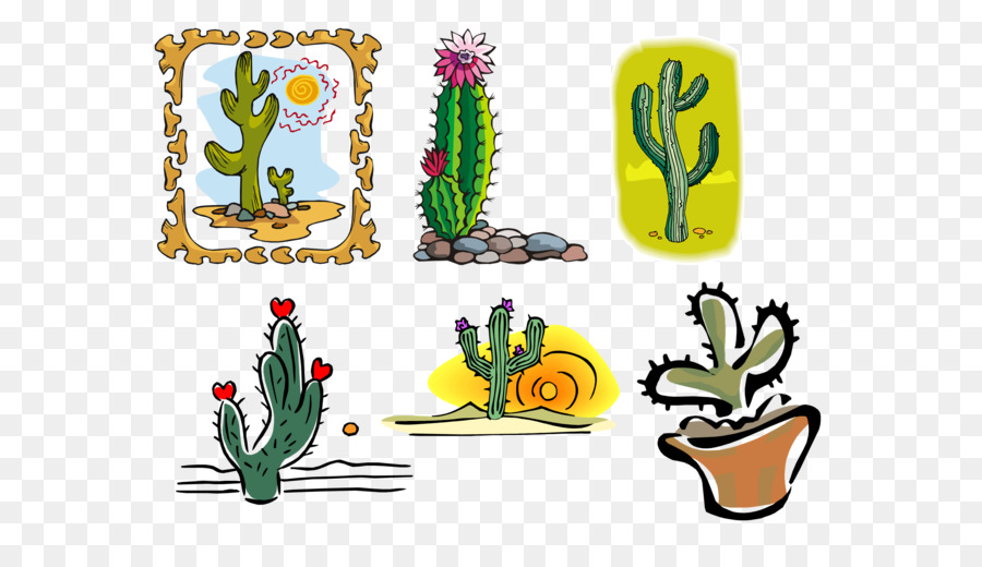 Cactaceae，Google Images PNG