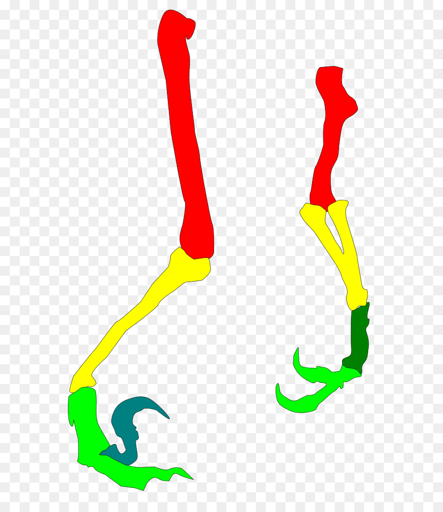 Ligne，Chaussure PNG