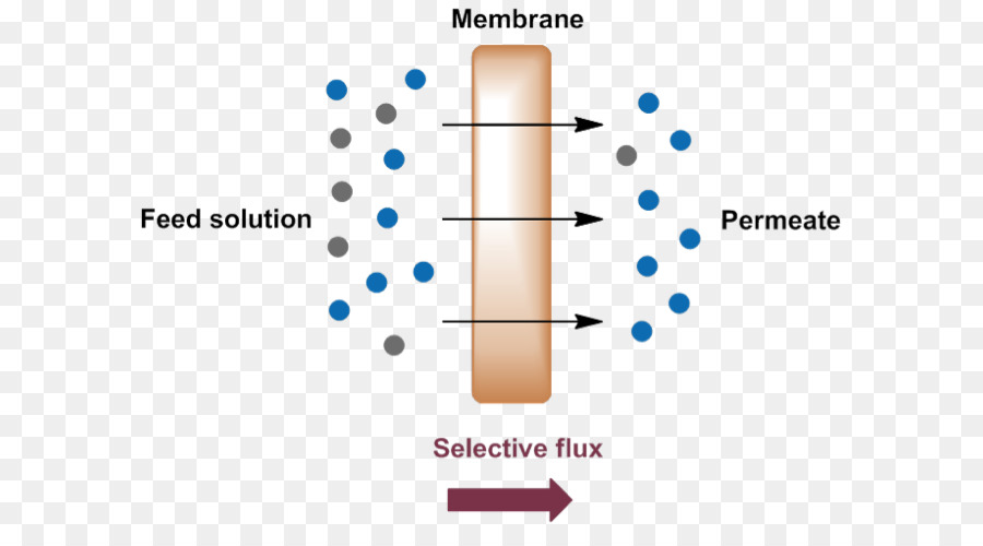 La Membrane，La Technologie De Membrane PNG