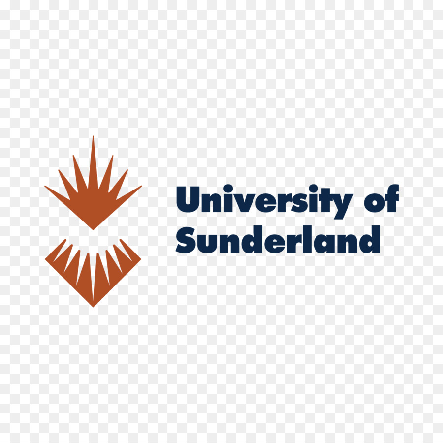 L Université De Sunderland，L Université De Newcastle PNG