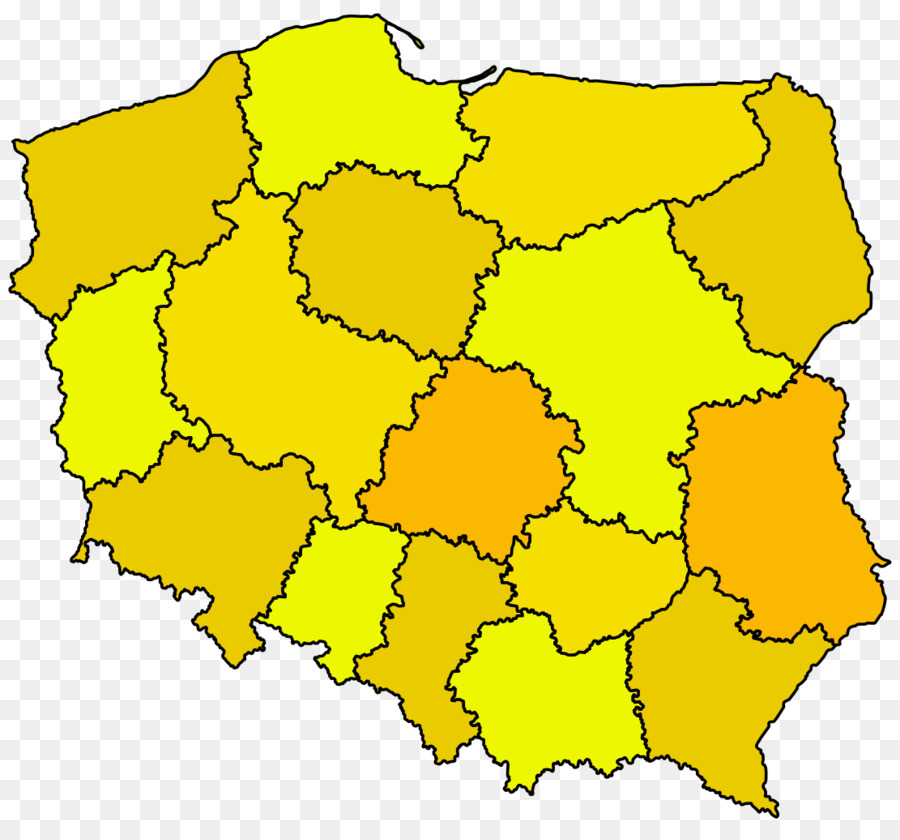 Urząd Miasta，Carte PNG