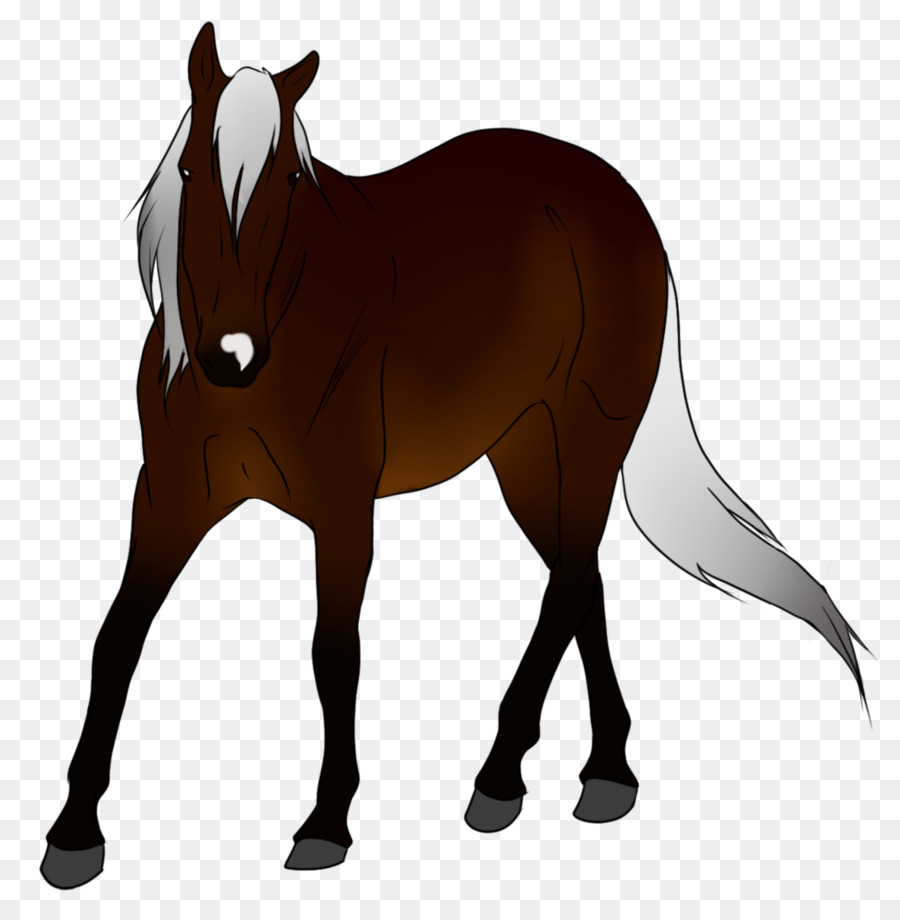 Cheval，équidé PNG