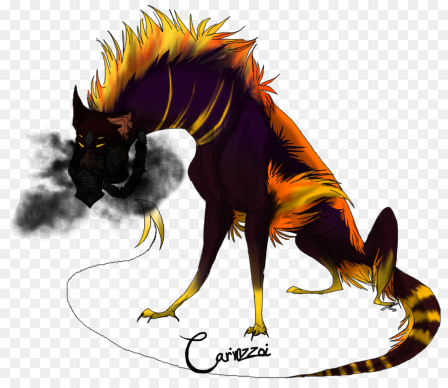 Chat，Cheval PNG