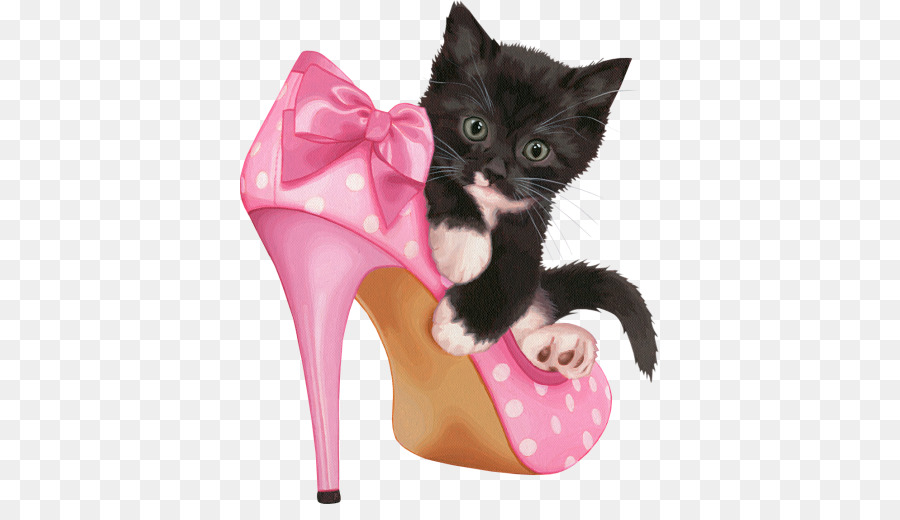 Chaton En Chaussure，Chat PNG