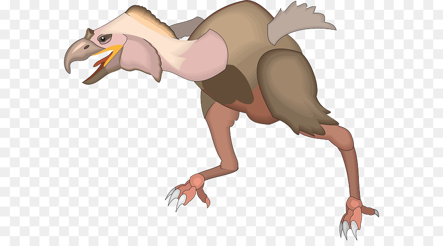 Velociraptor，Oiseau PNG